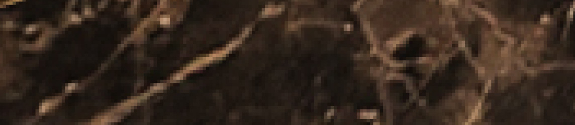 marmo rain forest brown